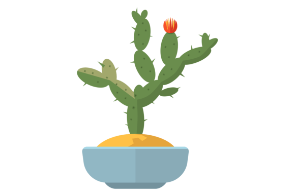 Blooming Cacti Plant: The Green Houseplant Trend Redefining Modern Spaces