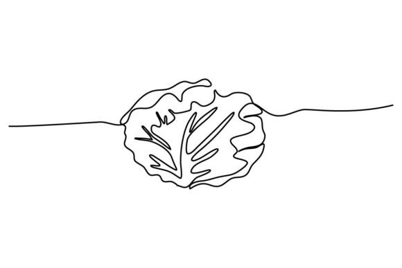 Cabbage One Continuous Line Design