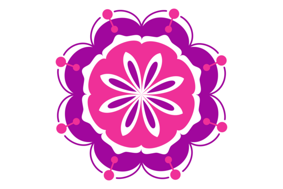 Colorful Flower with Purple and White Petals