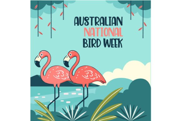 Hand Drawn Australian National Bird Week