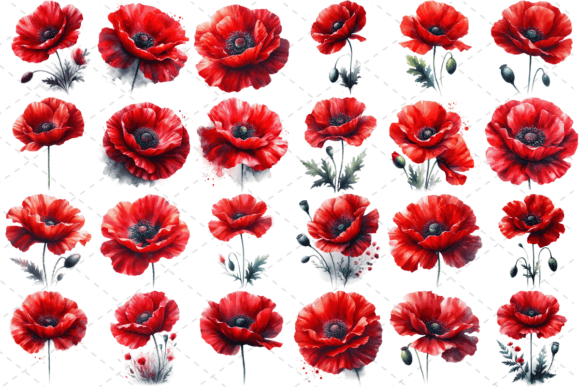 Poppify Watercolor Red Poppy Bundle
